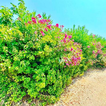 Tetraktys Estate Beachside Υδωρ Agios Matthaios  Экстерьер фото