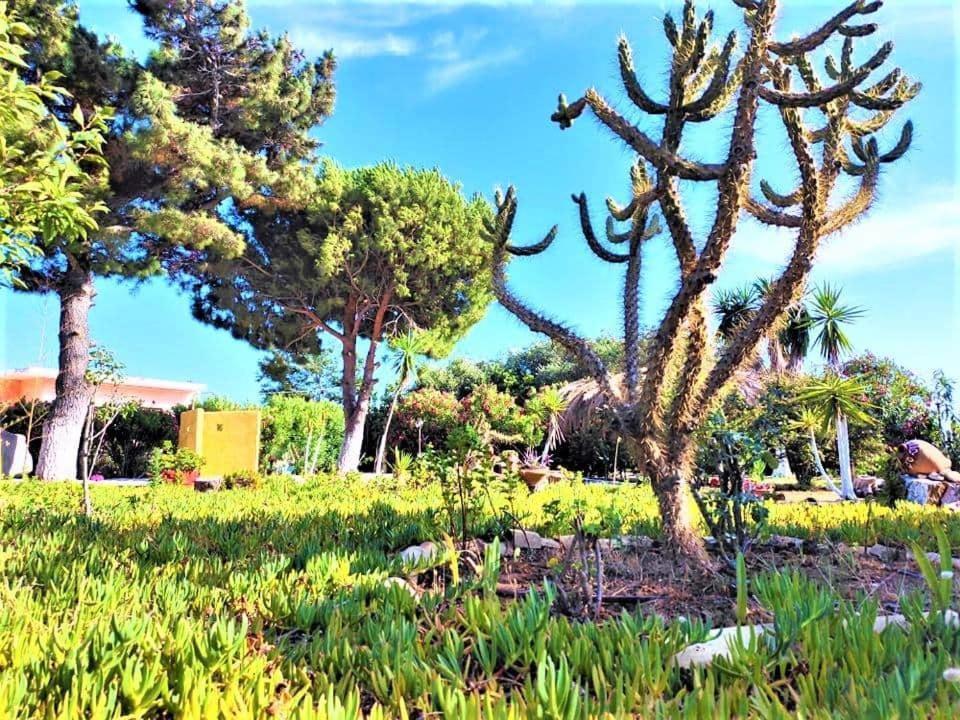 Tetraktys Estate Beachside Υδωρ Agios Matthaios  Экстерьер фото