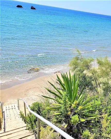 Tetraktys Estate Beachside Υδωρ Agios Matthaios  Экстерьер фото